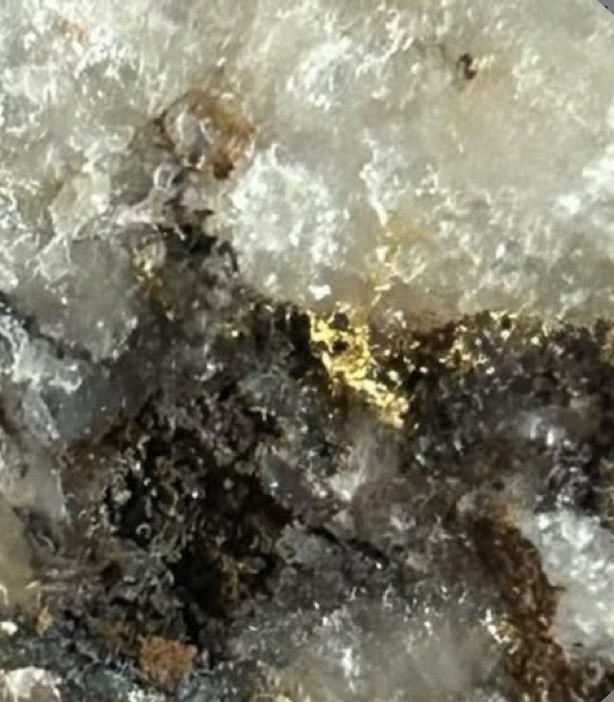 Aurum Meum AI Academy gold geology videos